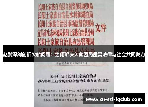 赵鹏深刻剖析欠薪问题：为何解决欠薪困局亟需法律与社会共同发力