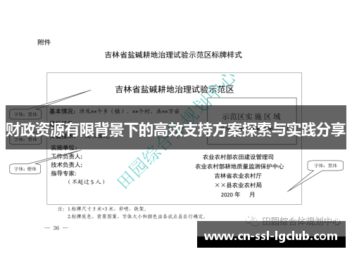 财政资源有限背景下的高效支持方案探索与实践分享