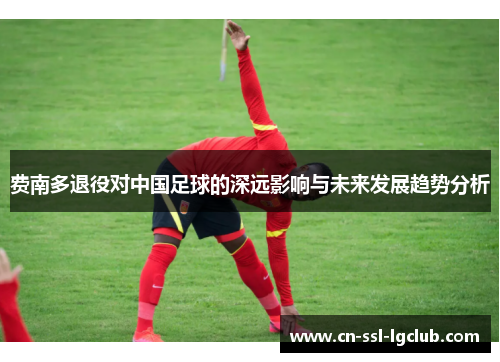 费南多退役对中国足球的深远影响与未来发展趋势分析