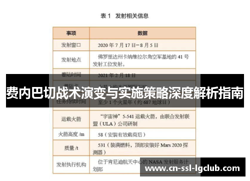 费内巴切战术演变与实施策略深度解析指南